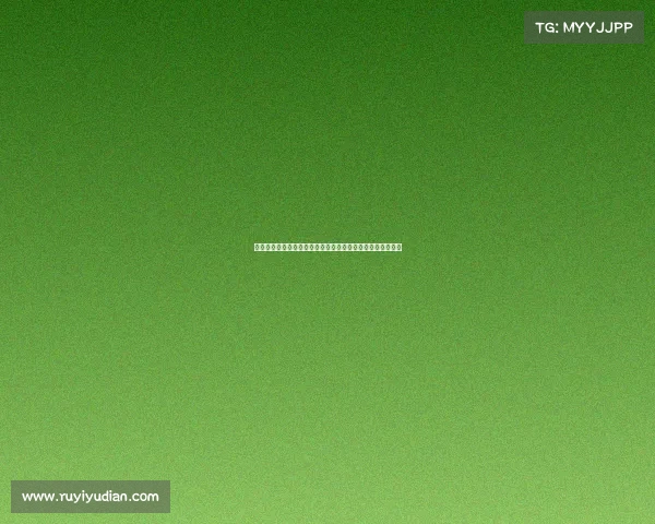 赛事组织口碑建设策略：打造卓越声誉与公众信任的实战指南